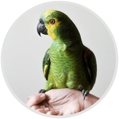 https://k-9hq.ca/wp-content/uploads/2019/07/hero_image_04.png