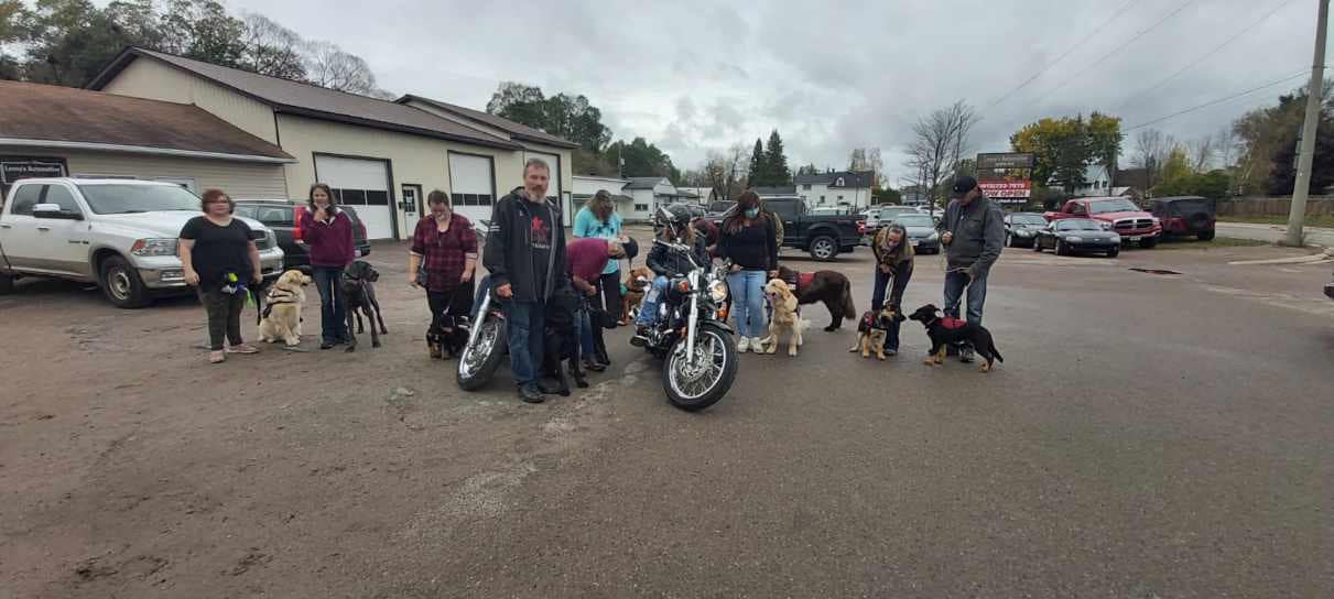 Service Dogs in Training learn about motorcycles