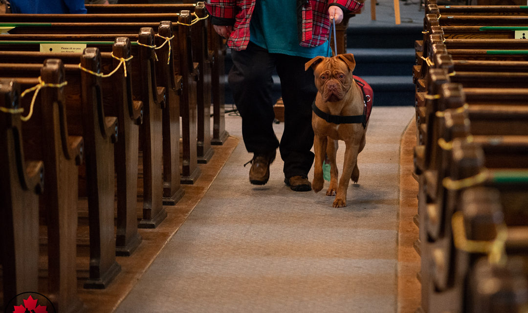 FTK-9’s Service Dog Teams were recently invited to Wesley United Church, Pembroke