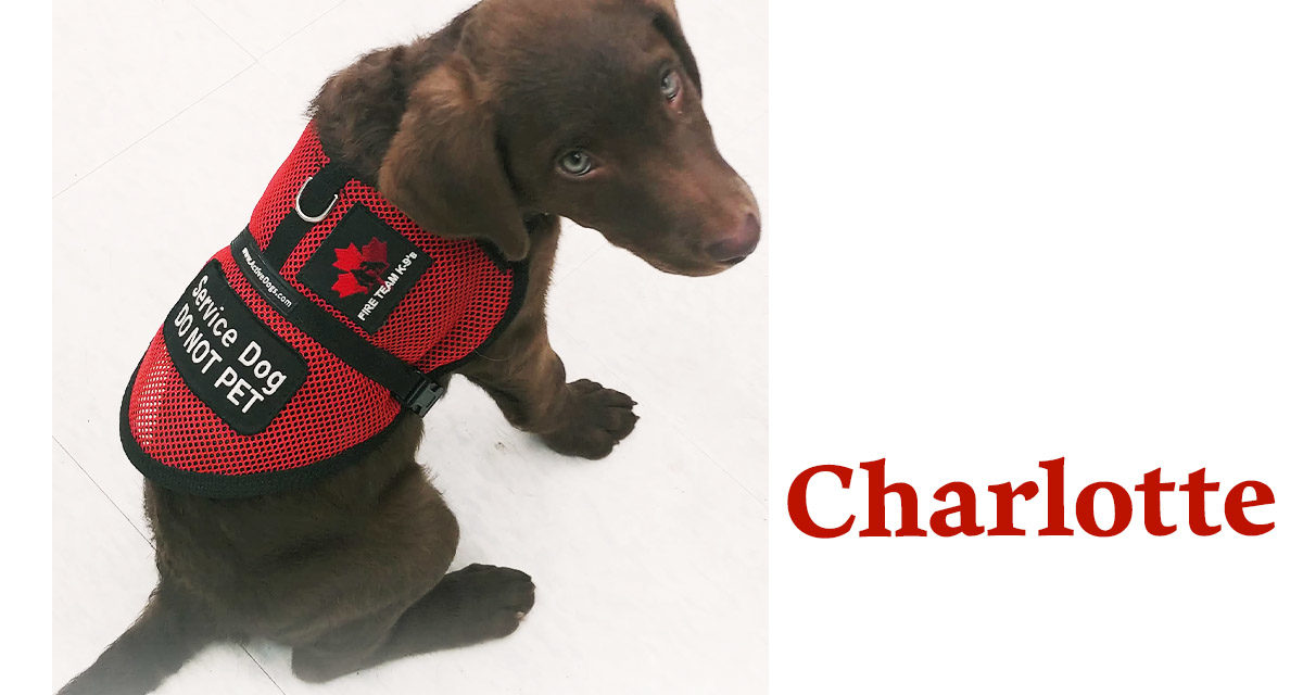 FTK9 is pleased to welcome Charlotte into our SDiT program