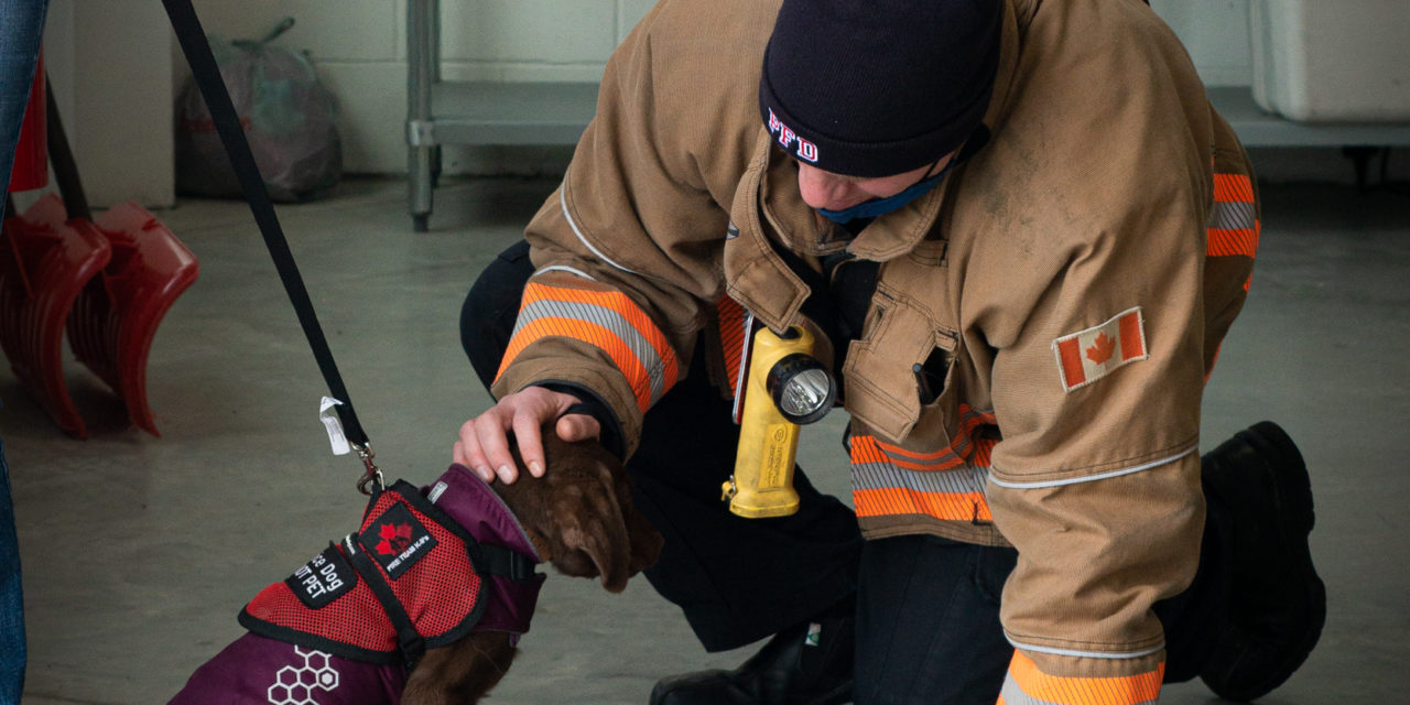 Service Dogs in Training visit the City of Pembroke Fire Department