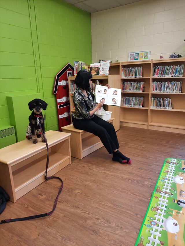 Therapy Dog visits Pembroke Public Library